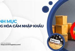 Danh Mục Cấm Nhập Khẩu Vào Việt Nam