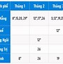 Lịch Thi Ielts Idp Đà Nẵng 2024